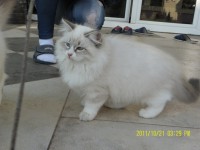 /album/galeria-aurora/sam-3136-816-x-612-jpg/